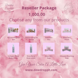 RESELLER PROGRAM